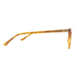 The Line Anara Turtle