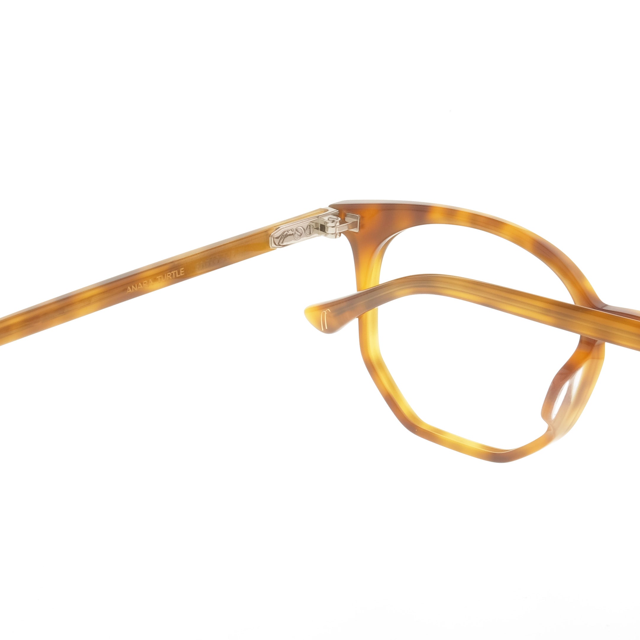 The Line Anara Turtle