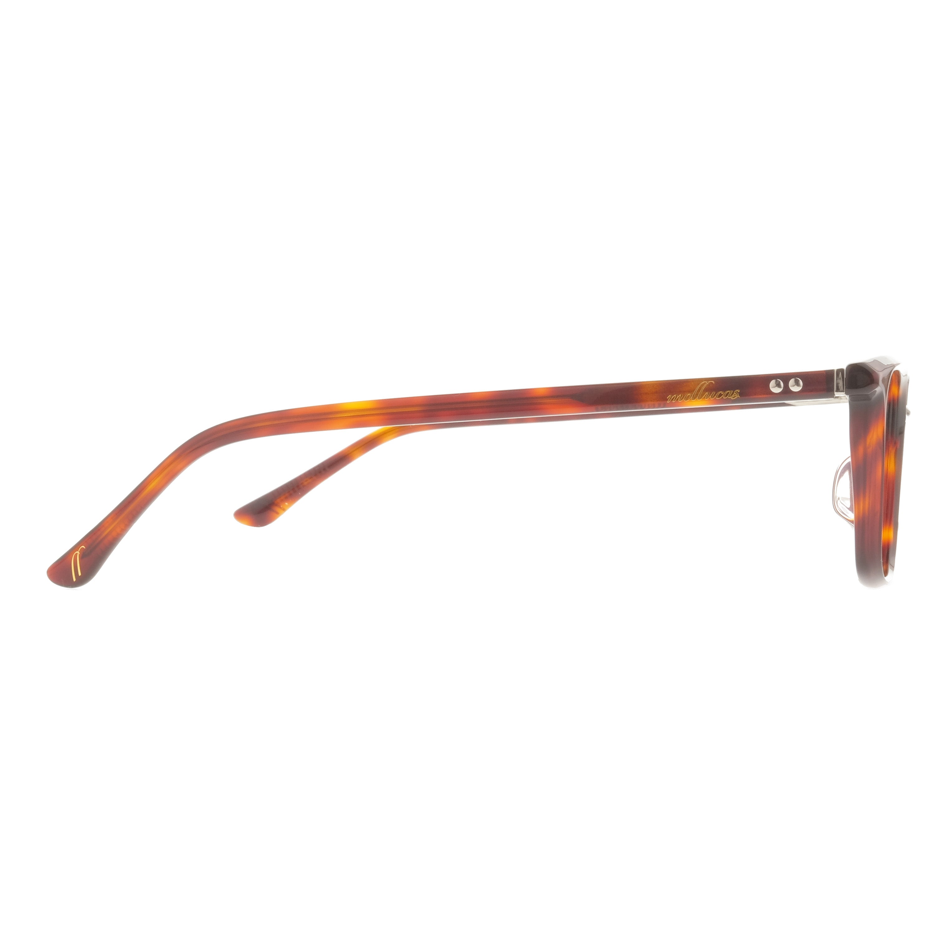 The Line Tavera Turtle