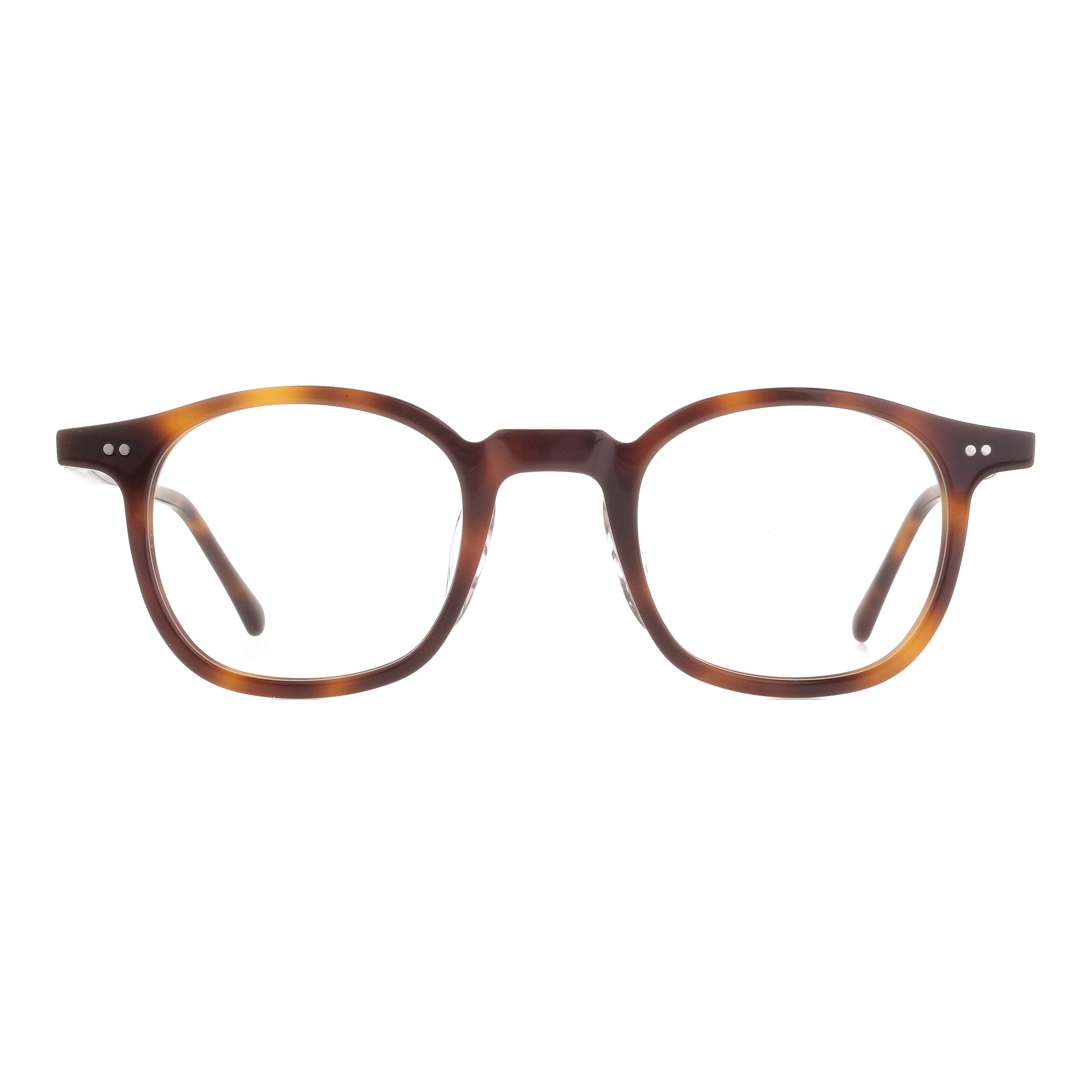 The Architect Candidase Turtle