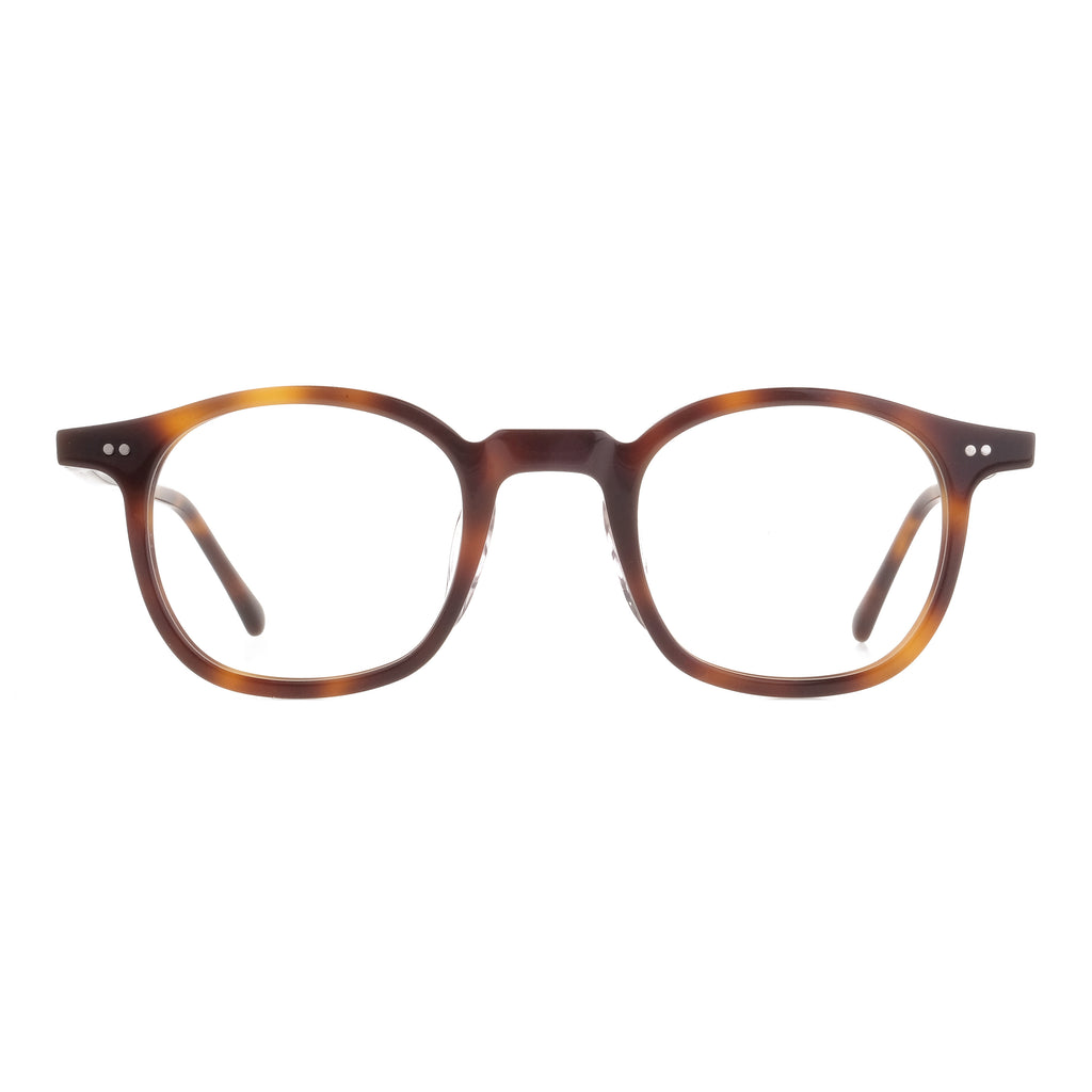 The Architect Candidase Turtle