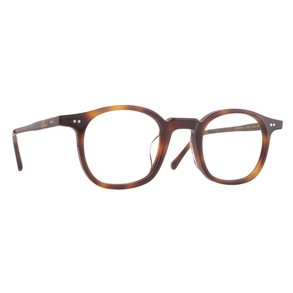 The Architect Candidase Turtle