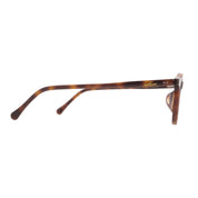 The Architect Candidase Turtle
