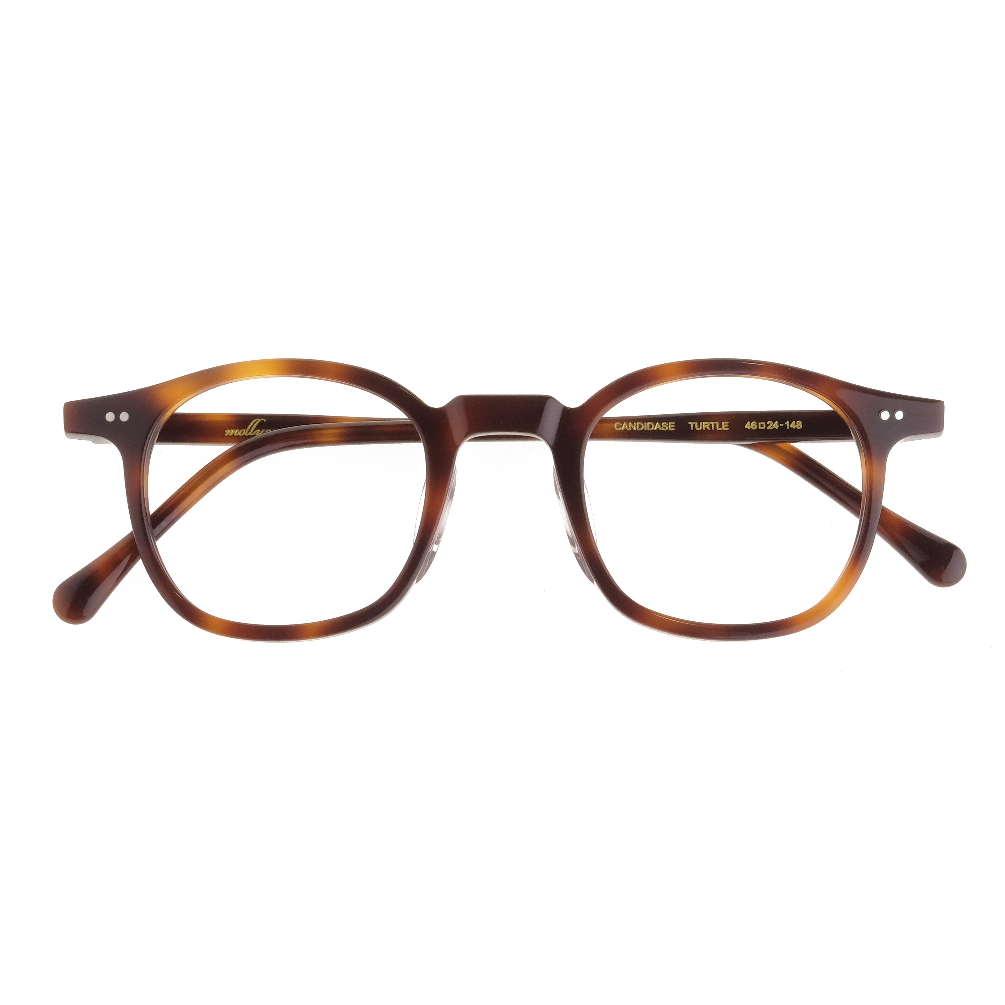 The Architect Candidase Turtle