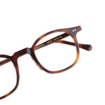 The Architect Candidase Turtle