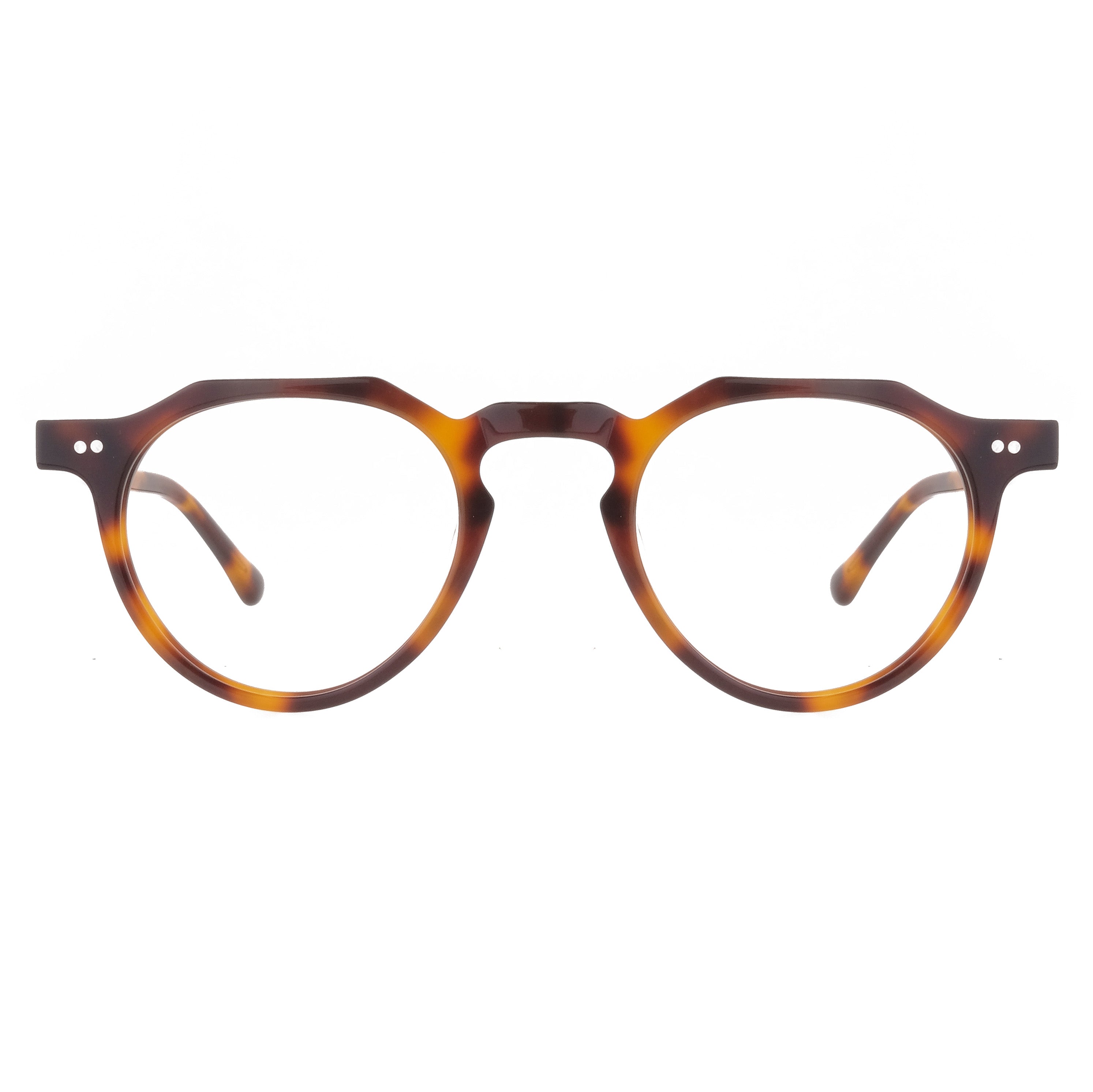 The Architect Lombok Turtle