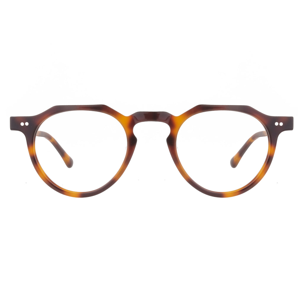 The Architect Lombok Turtle