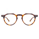 The Architect Lombok Turtle