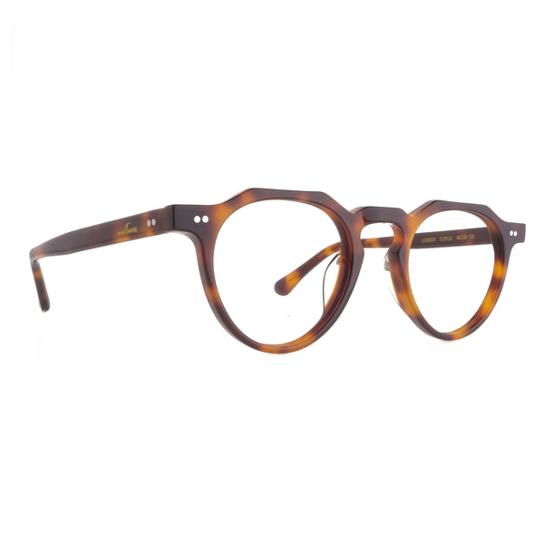 The Architect Lombok Turtle