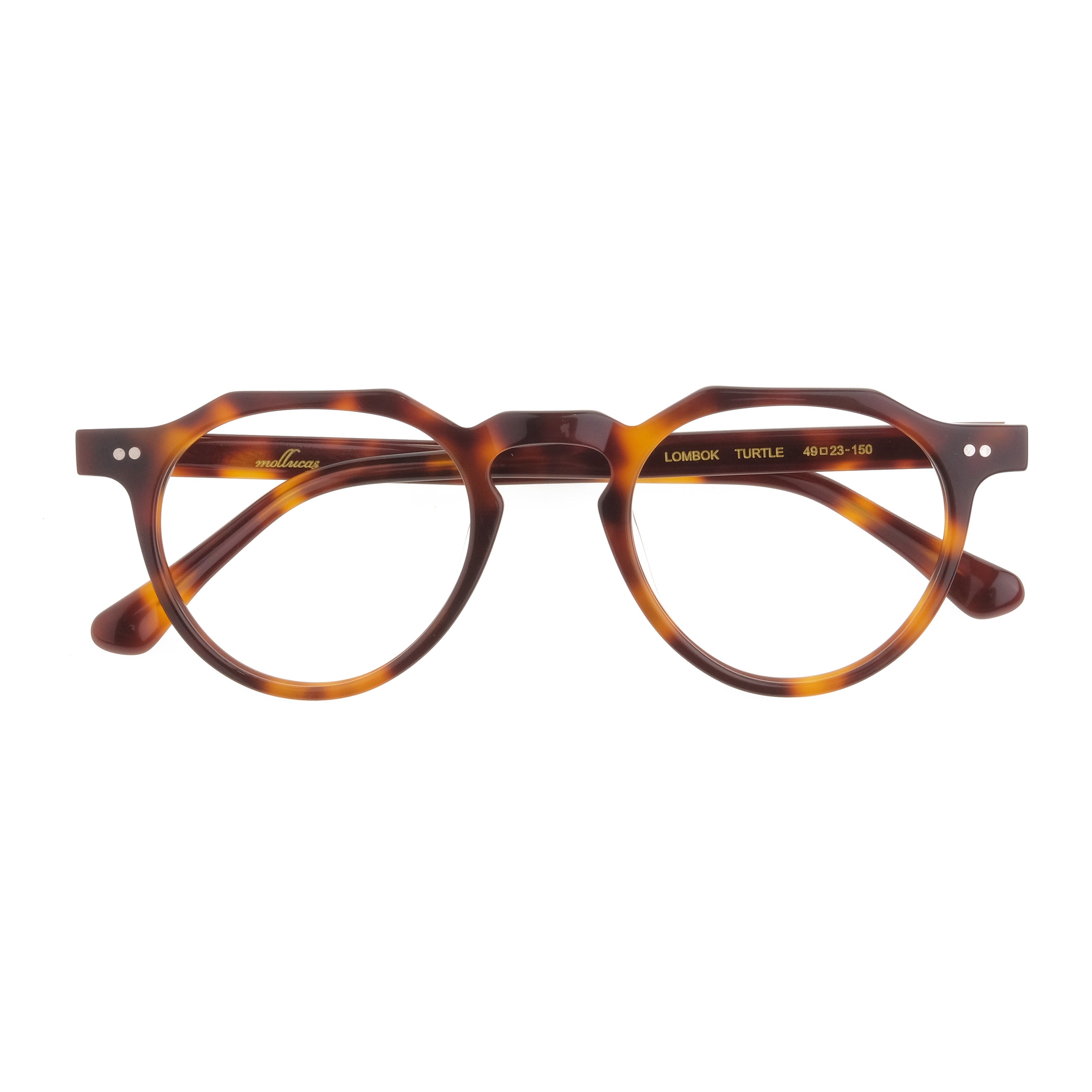 The Architect Lombok Turtle