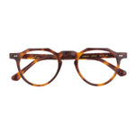 The Architect Lombok Turtle