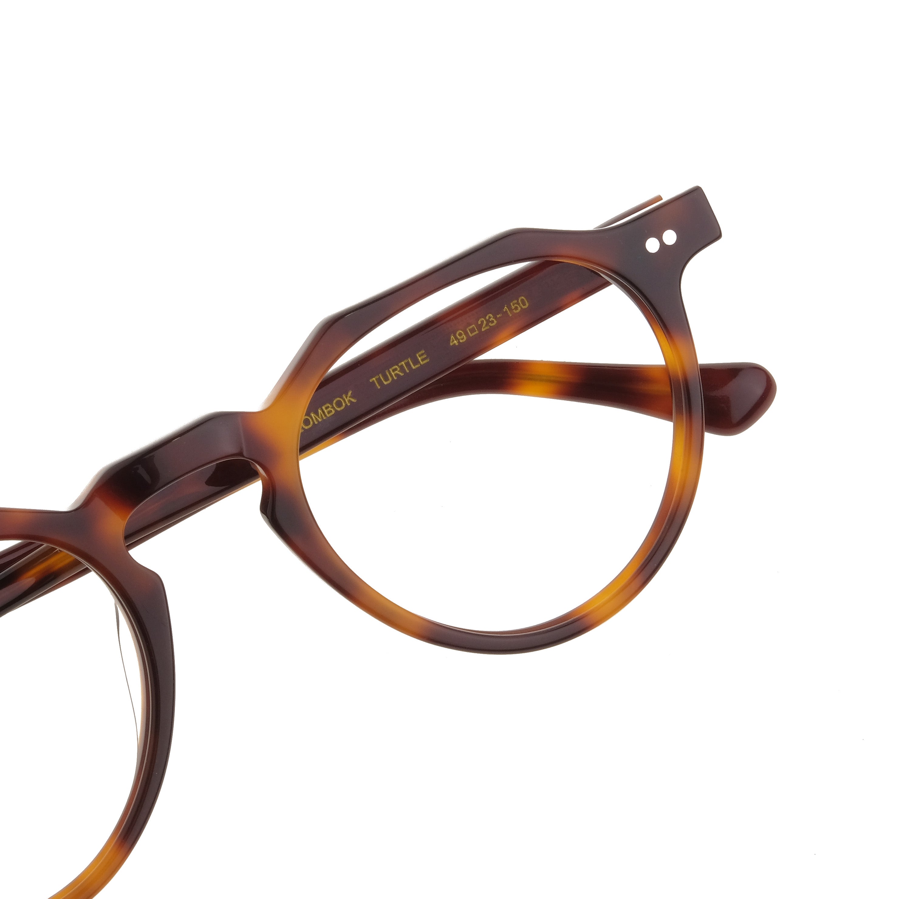 The Architect Lombok Turtle