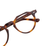 The Architect Lombok Turtle