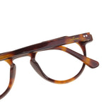 The Architect Lombok Turtle