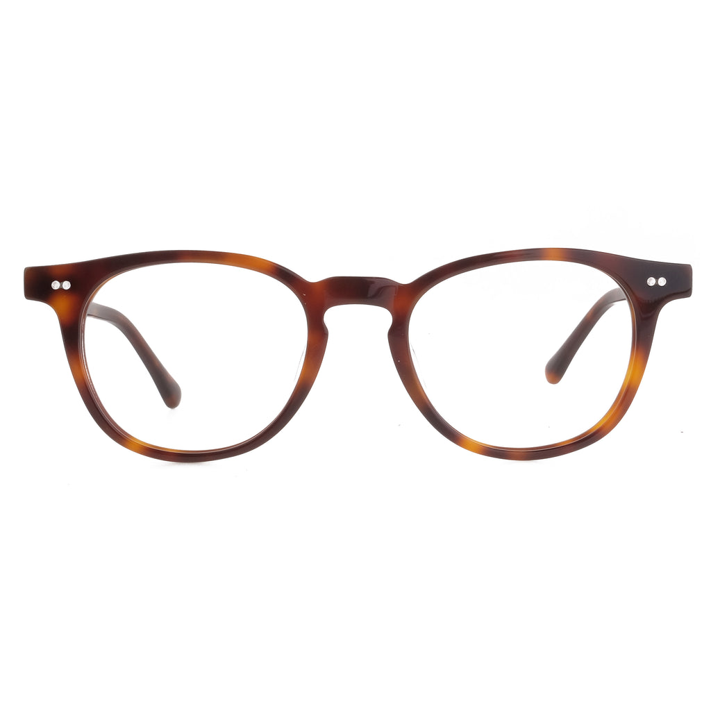 The Architect Praya Turtle