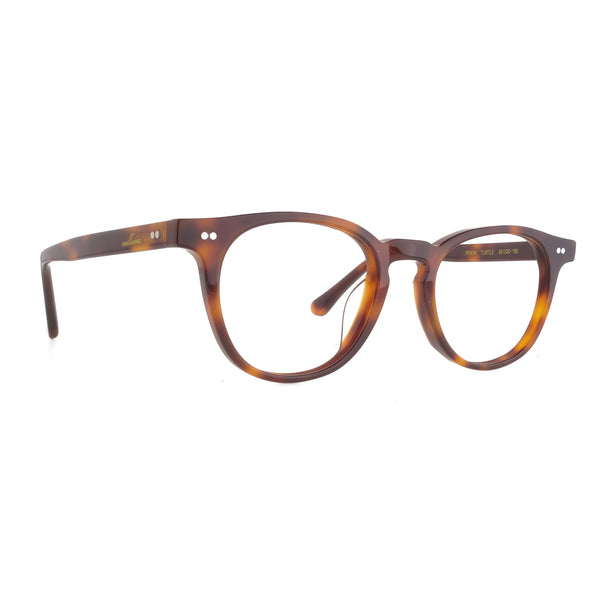 The Architect Praya Turtle