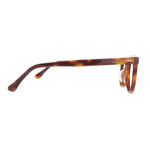 The Architect Praya Turtle