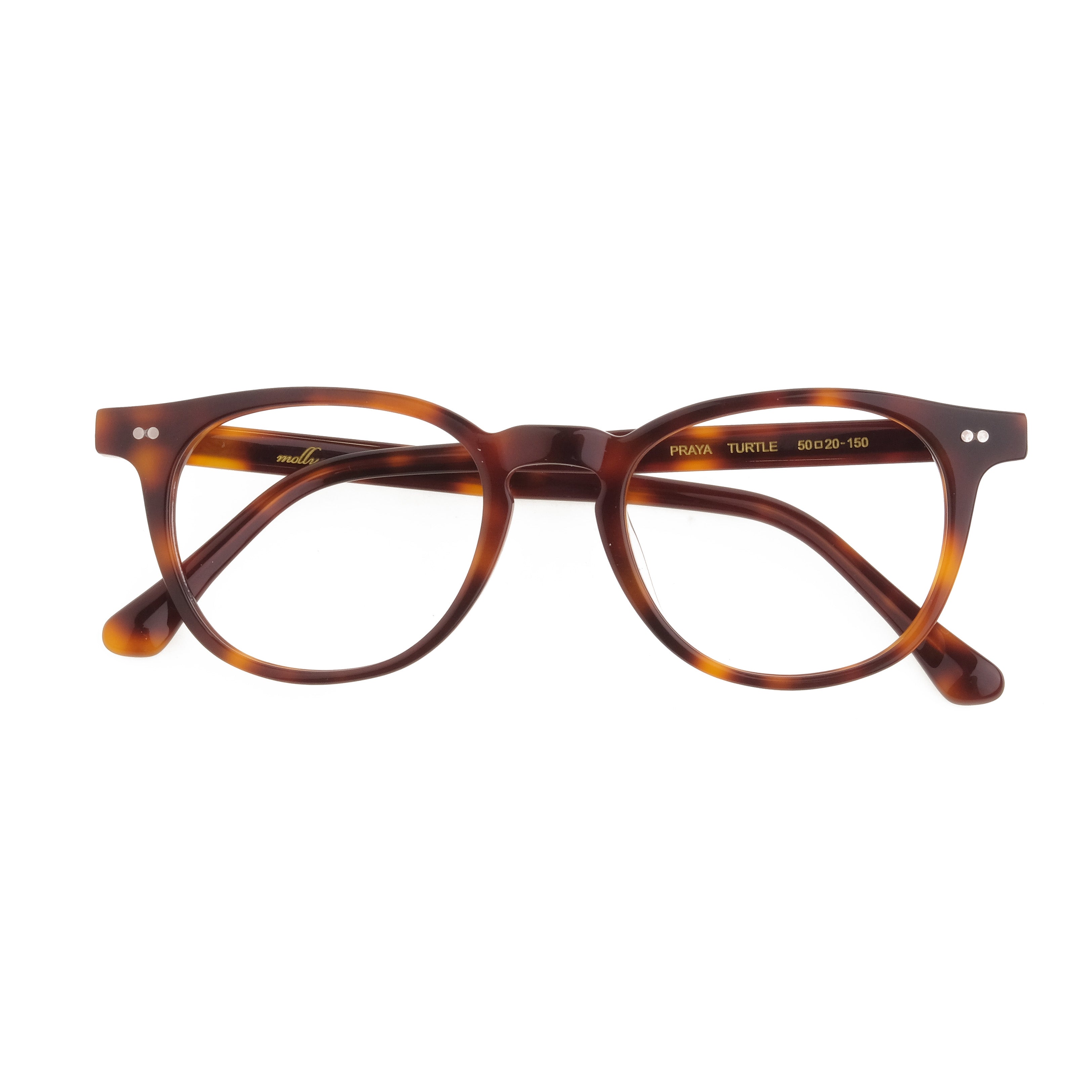 The Architect Praya Turtle