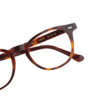 The Architect Praya Turtle