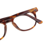 The Architect Praya Turtle