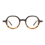 The Architect Sebatik Turtle