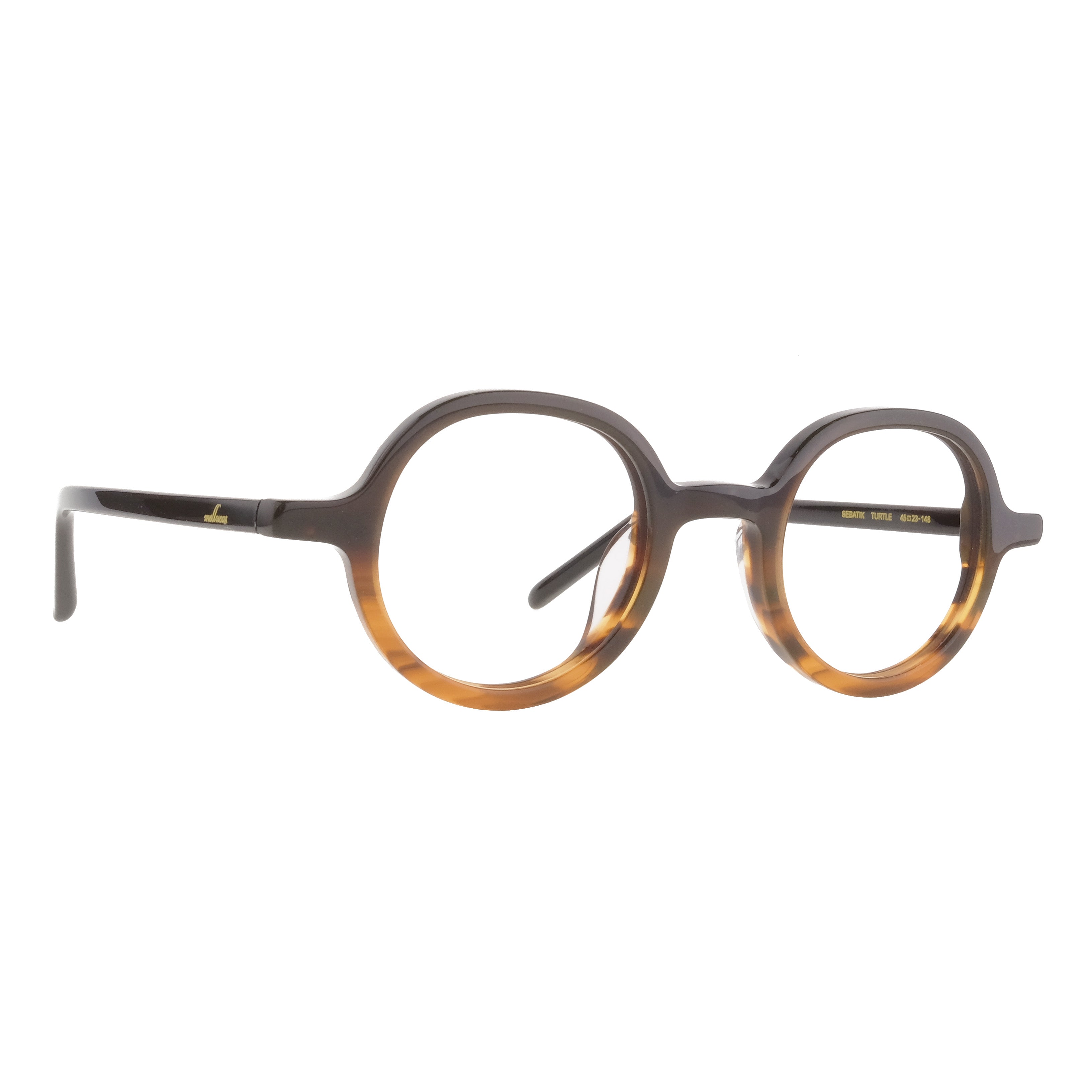 The Architect Sebatik Turtle