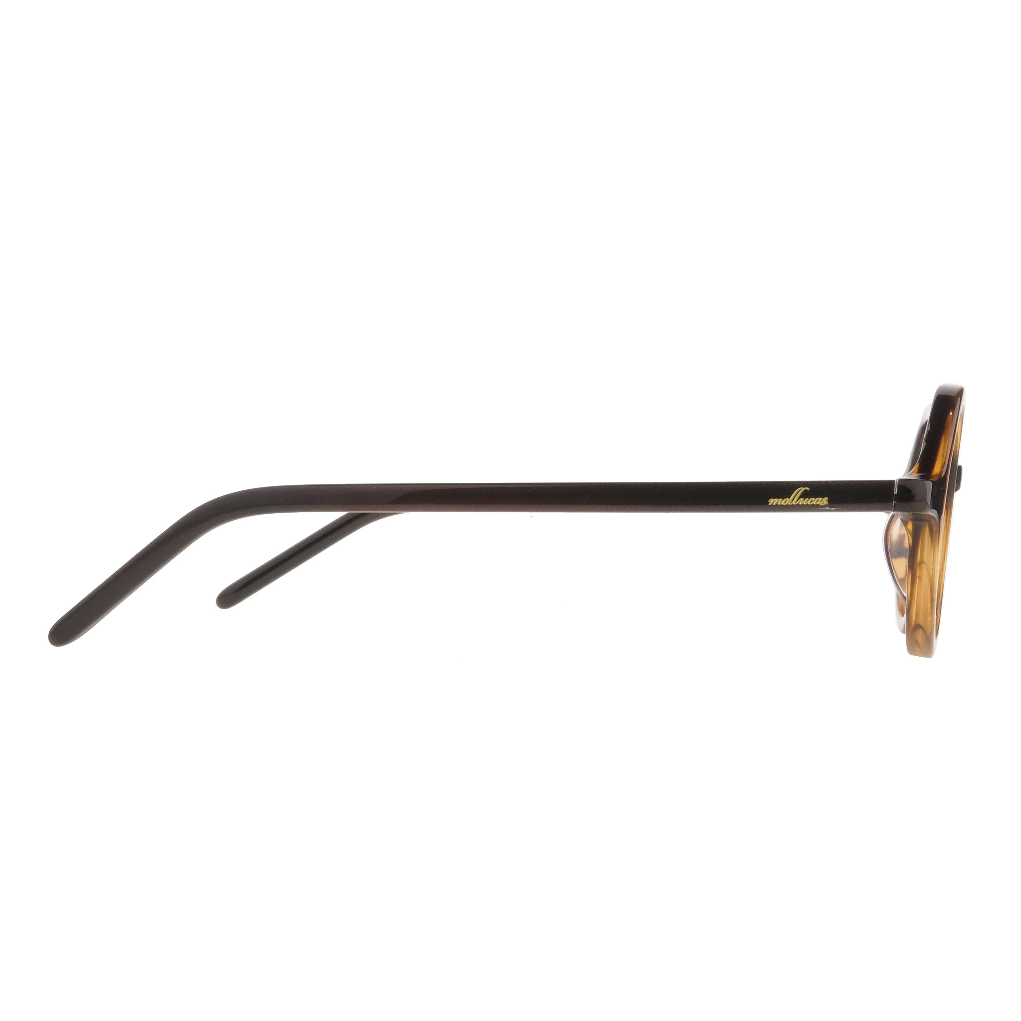 The Architect Sebatik Turtle