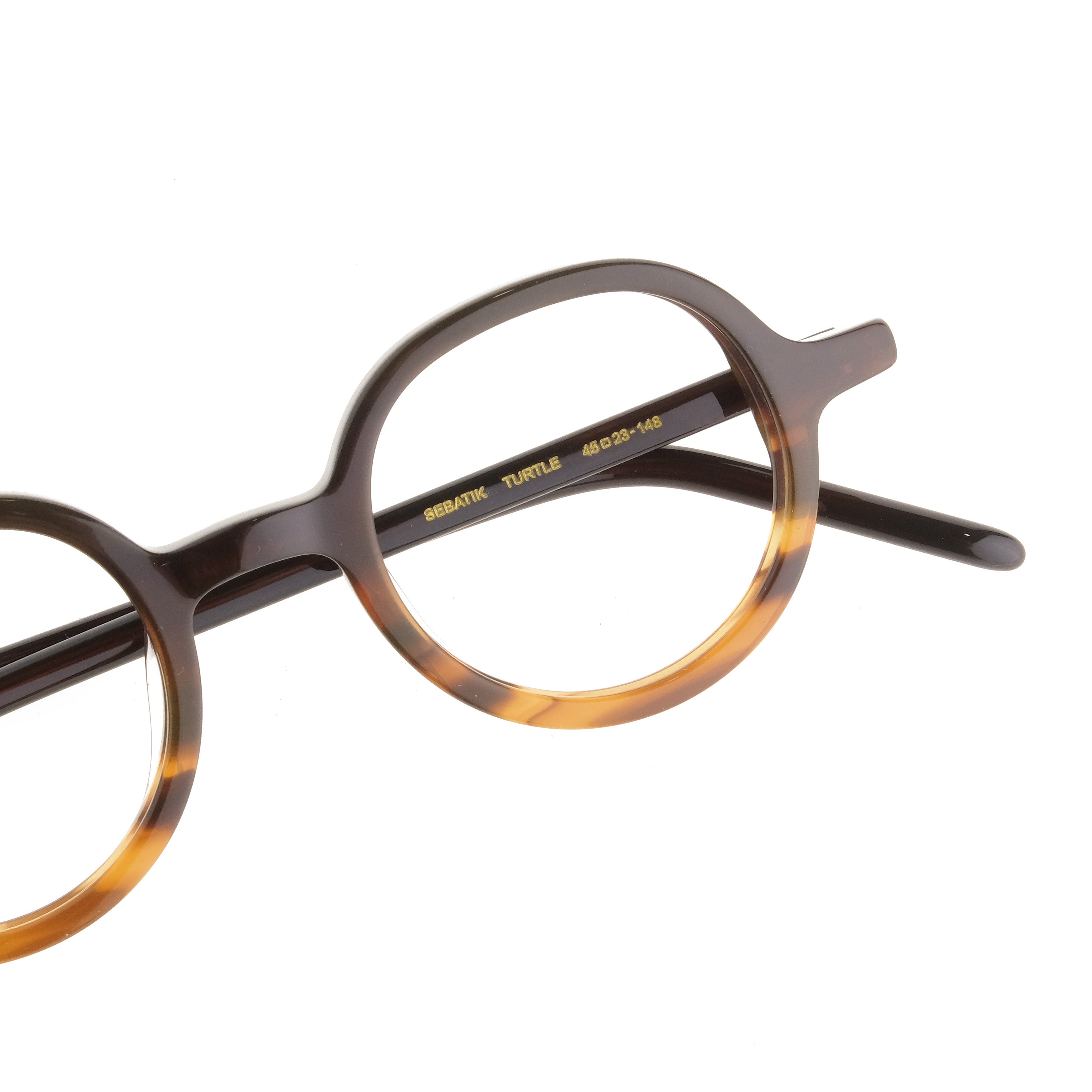 The Architect Sebatik Turtle