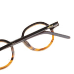 The Architect Sebatik Turtle