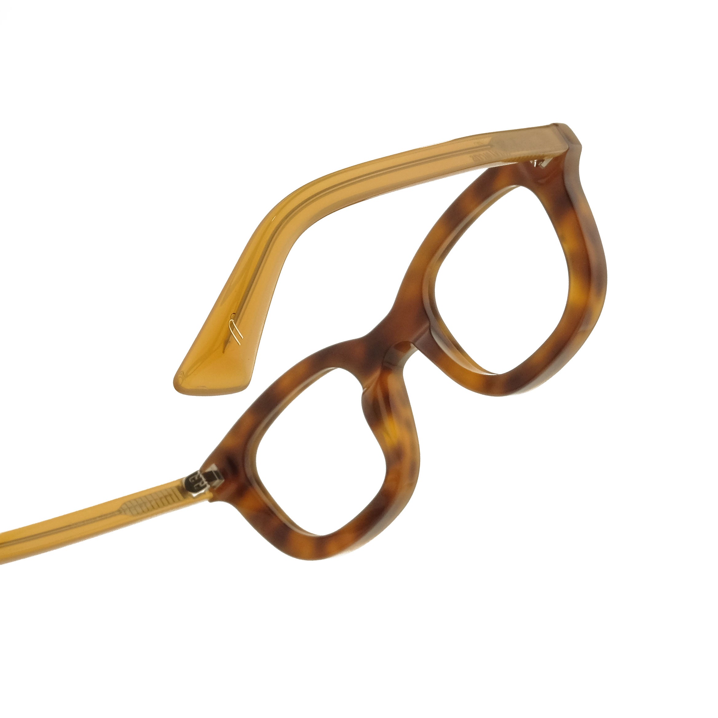 The Designer Soerabaja Turtle