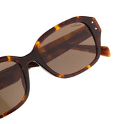 Solor Turtle Sun