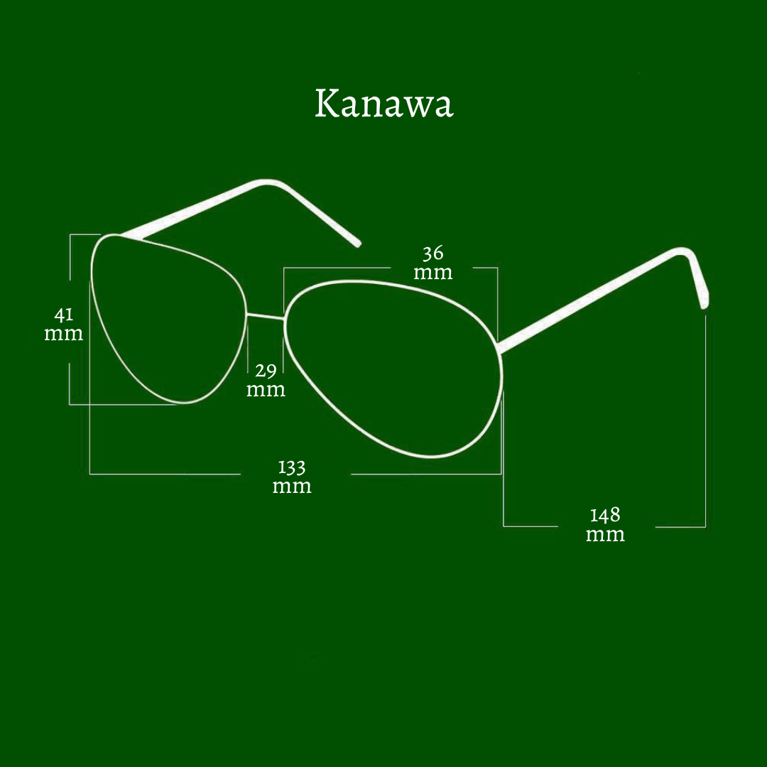 The Experimental Kanawa Turtle