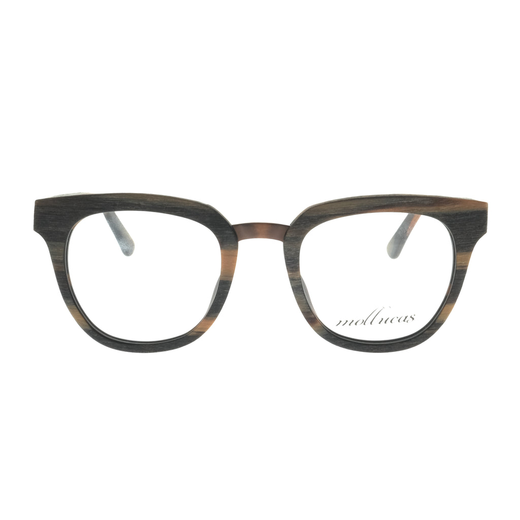 T7009 C99 Brown - Mollucas - Frame Kacamata Pria / Wanita Minus Plus Silinder Anti Radiasi